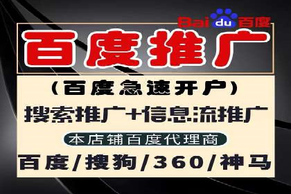 竞价端口开户全解析，实战案例